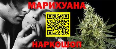 мдпв Бийск