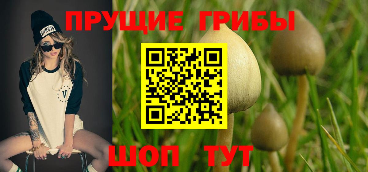 Галлюциногенные грибы GOLDEN TEACHER  Вход с VPN  Каменск-Шахтинский  Галлюциногенные грибы мухоморы 